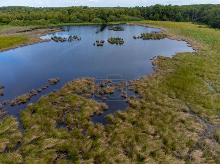 Photo for Nature background, green lung of North Brabant, turfs lake in Kempen forest in August, the Netherlands aerial view - Royalty Free Image