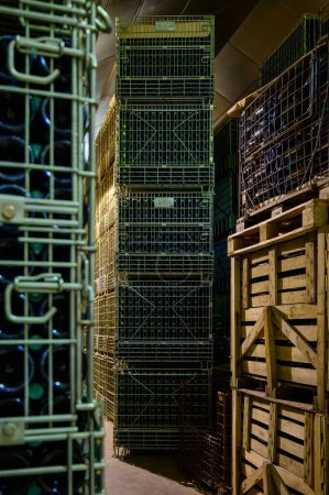 Foto de Muchas botellas de vino espumoso de champán. Visita de cuevas subterráneas, elaboración tradicional de vino de champán en Cote des Bar, Aube, al sur de Champagne, Francia - Imagen libre de derechos