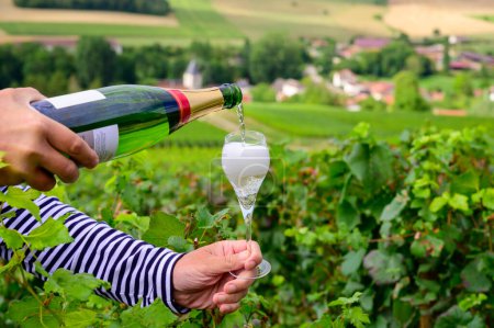 Photo for Drinking of sparkling white wine with bubbles champagne on green hilly vineyards in small village Urville in Cote des Bar, Champagne region, France in summer - Royalty Free Image