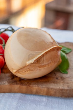 Foto de Bola de ahumado sabroso queso blando italiano Mozzarella di Bufala Campana servido con albahaca verde fresca y tomates sicilianos rojos - Imagen libre de derechos