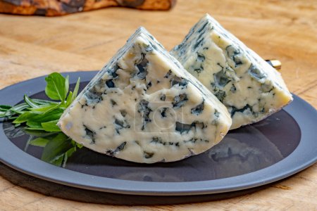 Photo for Cheese collection, piece of French blue cheese auvergne or fourme d'ambert close up with blue mold - Royalty Free Image