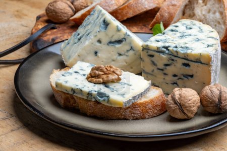 Photo for Tasting of cheese, piece of French blue cheese auvergne or fourme d'ambert with blue mold - Royalty Free Image