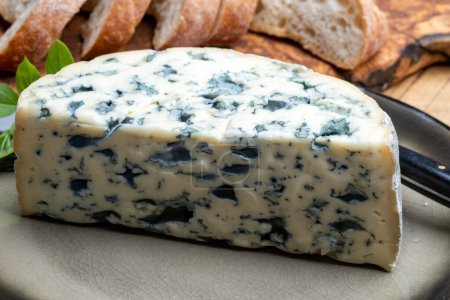 Photo for Cheese collection, piece of French blue cheese auvergne or fourme d'ambert close up with blue mold - Royalty Free Image