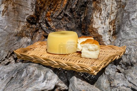 Foto de Diferentes quesos cantábricos elaborados a partir de melk de vaca, cabra y oveja en quesería de agricultores, montañas de Cantabria, norte de España - Imagen libre de derechos