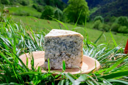 Téléchargez les photos : Cabrales, fromage bleu artisanal fabriqué par des producteurs laitiers ruraux des Asturies, Espagne à partir de lait de vache non pasteurisé ou mélangé avec du lait de chèvre ou de brebis avec des montagnes Picos de Europa - en image libre de droit