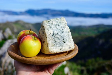 Téléchargez les photos : Cabrales, fromage bleu artisanal fabriqué par des producteurs laitiers ruraux des Asturies, Espagne à partir de lait de vache non pasteurisé ou mélangé avec du lait de chèvre ou de brebis avec des montagnes Picos de Europa - en image libre de droit
