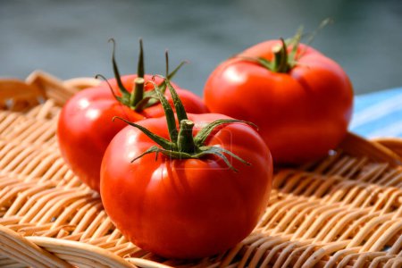 Süße leckere reife französische Tomaten auf dem Bauernmarkt in der Provence im Sommer aus nächster Nähe
