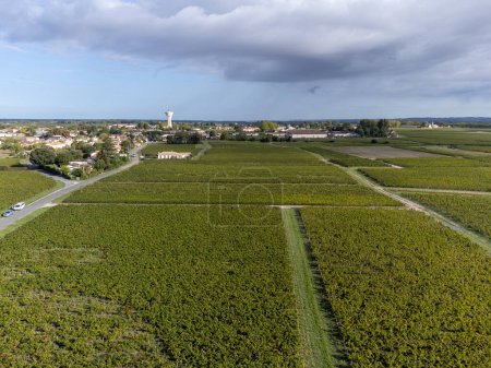 Foto de Vista aérea en la orilla izquierda del estuario de Gironda con viñedos verdes con variedad de uva roja Cabernet Sauvignon de la famosa región vinícola de Haut-Medoc en Burdeos, Francia, época de cosecha - Imagen libre de derechos