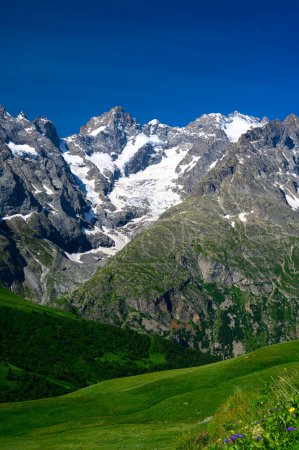 Téléchargez les photos : Montagnes et prairies verdoyantes près du Col du Lautaret, Massif des Ecrins, Hautes Alpes, France en été - en image libre de droit