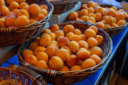 Téléchargez les photos : Nouvelle récolte d'abricots frais, mûrs, jaunes et rouges en Provence, France - en image libre de droit