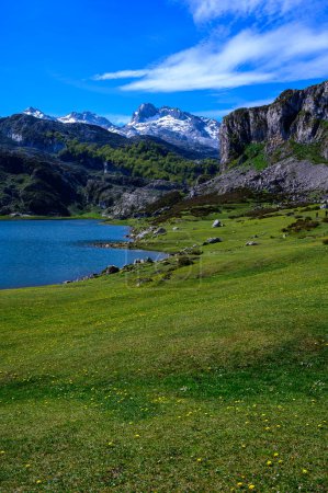 Téléchargez les photos : Lacs de montagne Lagos de Covadonga et pâturages verts, montagnes Picos de Europa, Asturies, Nord de l'Espagne - en image libre de droit