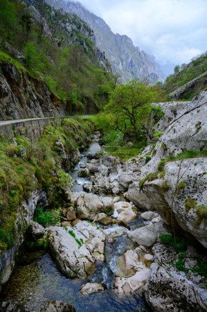 Foto de Cascada a lo largo de la carretera de montaña de Los Arenas a la remota aldea de montaña Sotres, Picos de Europa montañas, Asturias, norte de España, vista del desfiladero y las montañas - Imagen libre de derechos