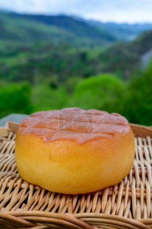 Téléchargez les photos : Fromage de vache fumé dur espagnol du village de Pria, Asturies, servi en plein air avec vue sur les pentes verdoyantes des montagnes Picos de Europa - en image libre de droit