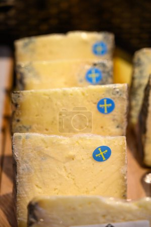 Téléchargez les photos : Cabrales, fromage bleu artisanal fabriqué par des producteurs laitiers ruraux des Asturies, Espagne à partir de lait de vache non pasteurisé ou mélangé avec du lait de chèvre ou de brebis avec des montagnes Picos de Europa sur fond - en image libre de droit