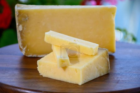 Téléchargez les photos : Collection de fromages, fromage français à pâte dure vieux fermier cantal à base de lait de vache cru avec croûte gros plan - en image libre de droit