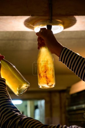 Photo for Visit of undergrounds caves, showing of sediment in bottle, traditional making of champagne sparkling wine in Cote des Bar, Champagne, France - Royalty Free Image