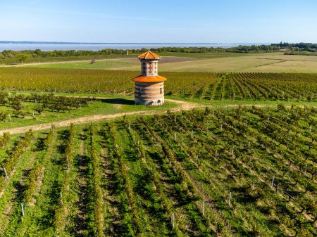 Luftaufnahme von grünen Weinbergen, Fluss Gironde, Weindomäne oder Schloss im Rotweinanbaugebiet Haut-Medoc, Bordeaux, linkes Ufer der Gironde-Mündung, Frankreich