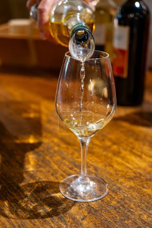 Foto de Degustación de vinos blancos dulces Sauternes en el antiguo dominio del vino en los viñedos Sauternes en la aldea de Barsac afectada por Botrytis cinerea noble rot, Burdeos, Francia - Imagen libre de derechos