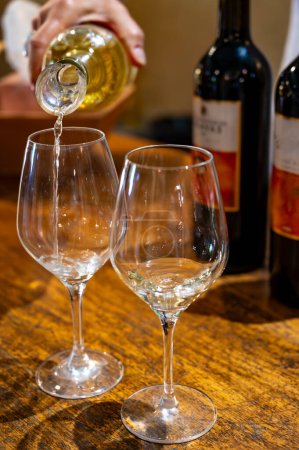 Téléchargez les photos : Dégustation de vins blancs doux Sauternes dans l'ancien domaine viticole sur les vignobles Sauternes dans le village de Barsac affecté par la pourriture noble Botrytis cinerea, Bordeaux, France - en image libre de droit