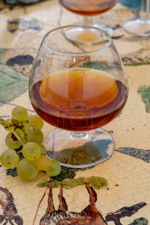 Photo for Tasting glass of Cognac strong alcohol drink in Cognac region, Charente, France - Royalty Free Image