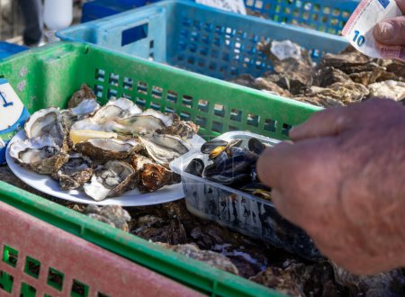 Foto de Captura fresca de moluscos franceses de ostras Gillardeau en caja de madera lista para comer de cerca - Imagen libre de derechos