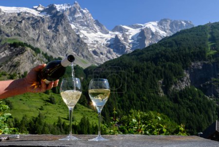 Téléchargez les photos : Boire du vin blanc sec Roussette de Savoie et Vin de Savoie Vin français de Savoie avec vue sur les Hautes Alpes avec neige au sommet - en image libre de droit