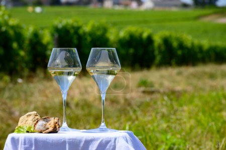 Foto de Vasos de vino blanco de viñedos de la denominación Pouilly-Fume y ejemplo de suelo de guijarros de pedernal, cerca de Pouilly-sur-Loire, Borgoña, Francia. - Imagen libre de derechos