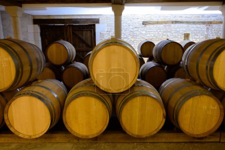 Foto de Ruta del vino en bodegas de dominio en la denominación Pouilly-Fume, vino blanco de viñedos de la denominación Pouilly-Fume cerca de Pouilly-sur-Loire, Borgoña, Francia. - Imagen libre de derechos
