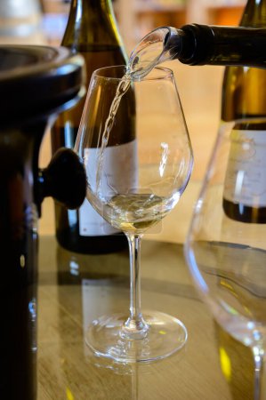 Foto de Ruta del vino en bodegas de dominio en la denominación Pouilly-Fume, degustación de vino blanco de viñedos de la denominación Pouilly-Fume cerca de Pouilly-sur-Loire, Borgoña, Francia. - Imagen libre de derechos