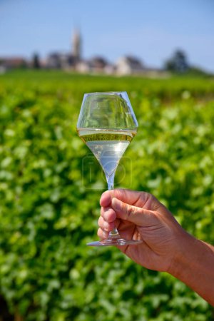 Foto de Copa de vino blanco de los viñedos de la denominación Pouilly-Fume, cerca de Pouilly-sur-Loire, Borgoña, Francia. - Imagen libre de derechos