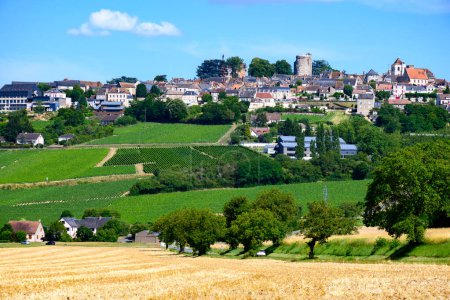 Foto de Vista aérea de viñedos verdes alrededor del pueblo vinícola de Sancerre, hileras de uvas sauvignon blanc en colinas con diferentes suelos, Cher, Valle del Loira, Francia - Imagen libre de derechos