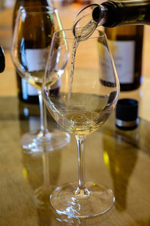 Foto de Ruta del vino en bodegas de dominio en la denominación Pouilly-Fume, degustación de vino blanco de viñedos de la denominación Pouilly-Fume cerca de Pouilly-sur-Loire, Borgoña, Francia. - Imagen libre de derechos