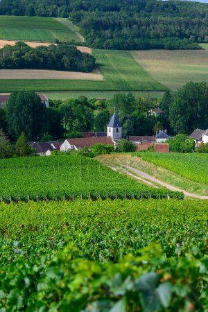 Photo for Hills with vineyards and church in Urville, champagne vineyards in Cote des Bar, Aube, south of Champange, France - Royalty Free Image