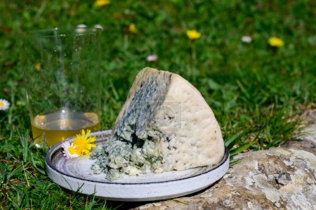 Téléchargez les photos : Le fromage de vache bleue Cabrales et le cidre de pomme sont des verres fabriqués par des agriculteurs ruraux des Asturies, en Espagne, et des pâturages verts de Picos de Europa sur fond - en image libre de droit