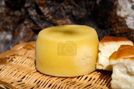 Téléchargez les photos : Différents fromages cantabriens fabriqués à partir de fonte de vache, de chèvre et de mouton dans une fromagerie paysanne, montagnes de Cantabrie, Espagne du Nord - en image libre de droit
