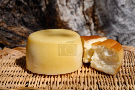 Diferentes quesos cantábricos elaborados a partir de melk de vaca, cabra y oveja en quesería de agricultores, montañas de Cantabria, norte de España