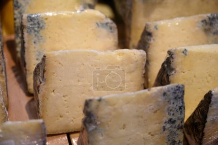 Foto de Gamoneu o queso gamonedo elaborado con leche de vaca, oveja y cabra ligeramente ahumada con cáscara fina y natural de Asturias a la venta en tienda, España - Imagen libre de derechos