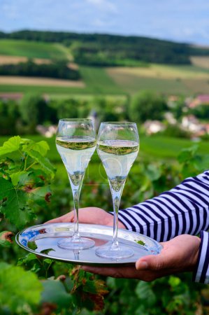 Photo for Drinking of sparkling white wine with bubbles champagne on green hilly vineyards in small village Urville in Cote des Bar, Champagne region, France in summer - Royalty Free Image