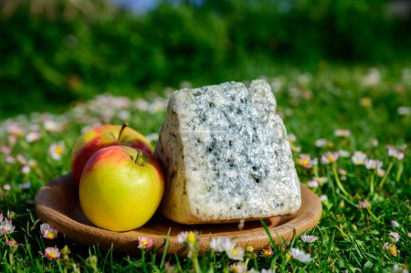 Foto de Cabrales, queso azul artesanal elaborado por ganaderos rurales de Asturias, España a partir de leche de vaca o mezclada con cabra, leche de oveja con montañas de Picos de Europa y lago Covadonga - Imagen libre de derechos