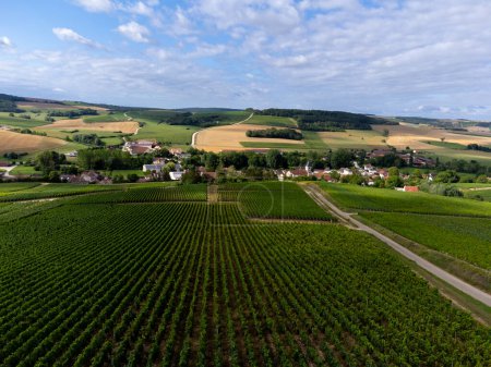 Photo for Aerial view on hilly green ineyards and village Urville, champagne vineyards in Cote des Bar, Aube, south of Champange, France - Royalty Free Image