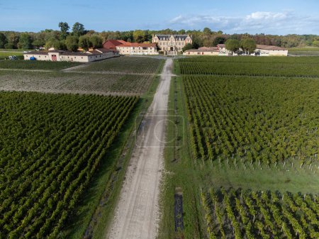 Photo for Aerial view on left bank of Gironde Estuary with green vineyards with red Cabernet Sauvignon grape variety of famous Haut-Medoc red wine making region in Margaux, Bordeaux, France - Royalty Free Image