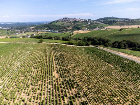 Téléchargez les photos : Vue aérienne sur vignobles verdoyants autour du village viticole de Sancerre, rangées de raisins sauvignon blanc sur des collines aux sols différents, Cher, vallée de la Loire, France - en image libre de droit