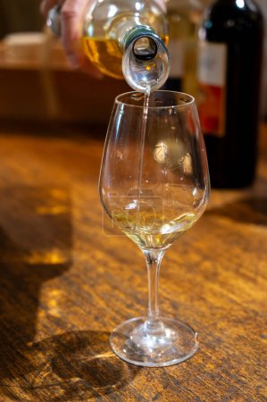Téléchargez les photos : Dégustation de vins blancs doux Sauternes dans l'ancien domaine viticole sur les vignobles Sauternes dans le village de Barsac affecté par la pourriture noble Botrytis cinerea, Bordeaux, France - en image libre de droit