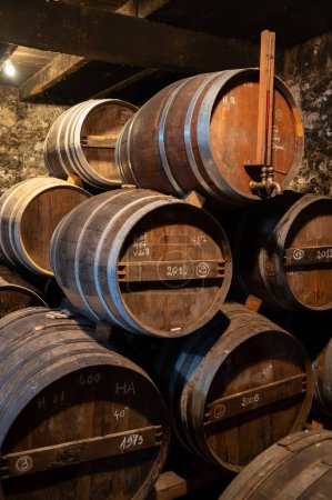 Foto de Proceso de envejecimiento del alcohol de coñac en barricas viejas de roble francés oscuro en bodega en la destilería, región de vino blanco de Cognac, Charente, Segonzac, Grand Champagne, Francia - Imagen libre de derechos