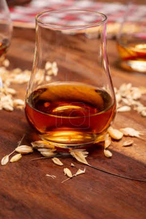 Foto de Degustación de diferentes whiskies escoceses fuertes bebidas alcohólicas, vaso de whisky y colorido tartán escocés en primer plano - Imagen libre de derechos