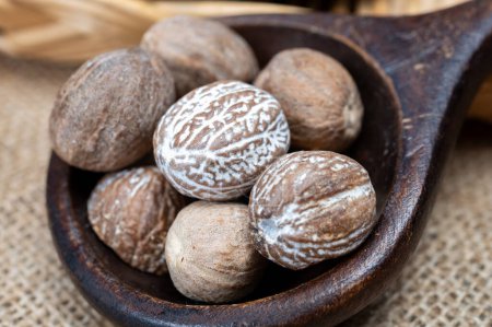 Photo for Tasty winter spice whole dried nutmeg, used as an ingredient in many dishes, eggnog, potato, mulled wine, close up on old wooden table close up - Royalty Free Image