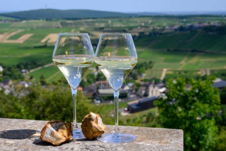 Photo for Glasses of white wine from vineyards of Sancerre  Chavignol appelation and example of flint pebbles soil, near Sancerre village, Cher, Loire valley, France. - Royalty Free Image