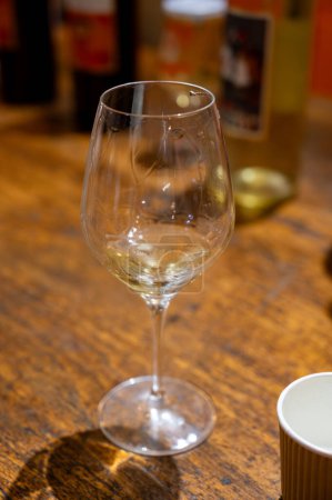 Foto de Degustación de vinos blancos dulces Sauternes en el antiguo dominio del vino en los viñedos Sauternes en la aldea de Barsac afectada por Botrytis cinerea noble rot, Burdeos, Francia - Imagen libre de derechos