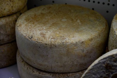 Téléchargez les photos : Différents fromages asturiens à base de fonte de vache, de chèvre et de mouton exposés dans une fromagerie paysanne, Asturies, Espagne du Nord, gros plan - en image libre de droit