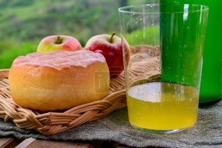 Photo for Natural Asturian cider made from fermented apples and Asturian cow smoked cheese and view Picos de Europa mountains on background, North of Spain - Royalty Free Image